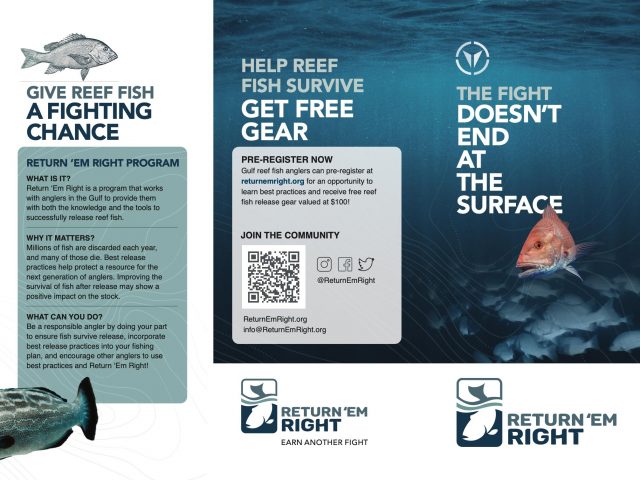 Photo of a brochure that details how to help reef fish survive